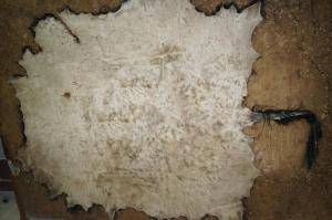 Sheepskins - African leather - magnificent-african-skins-adam-leather
