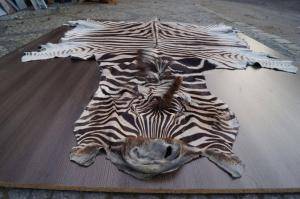 Sheepskins - African leather - magnificent-african-skins-eco-adam-leather