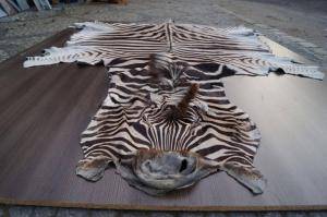 Sheepskins - African leather - magnificent-african-skins3climage1920x1080-100