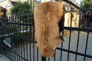 Sheepskins - Goat skins - magnificent-goat-skins-adam-leather