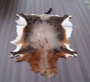 Sheepskins - African leather - natural-african-skins-adam-leather