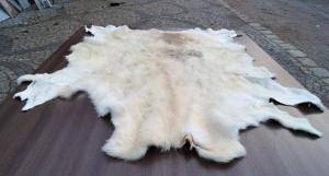 Sheepskins - African leather - nice-african-skins1climage1920x1080-100