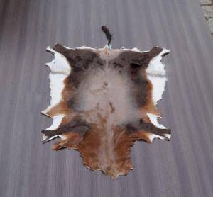 Sheepskins - African leather - original-african-skins-adam-leather