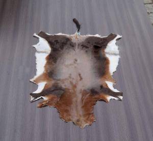 Sheepskins - African leather - original-african-skinsclimage1920x1080-100
