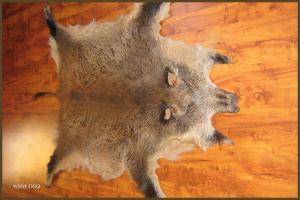 Sheepskins - Boar skins - original-boar-skins-adam-leather