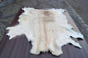 Sheepskins - African leather - pleasing-african-skins-adam-leather-eco