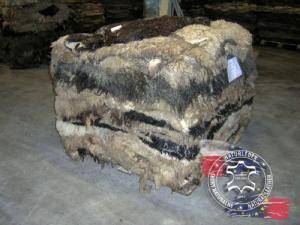 Sheepskins - Raw hides, salted sheepskins - raw-hides-adam-leather-sheepskins