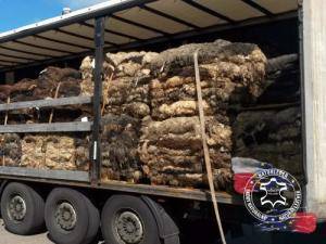 Sheepskins - Raw hides, salted sheepskins - raw-hides-eco-sheepskin-adam-leather