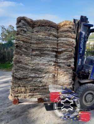 Sheepskins - Raw hides, salted sheepskins - raw-hides-sheepskins-adam-leather