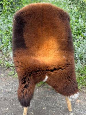 Sheepskins - SHEEPSKINS FOR THE GARDEN - GARDEN DECORATIONS - s1