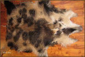 Sheepskins - Boar skins - superb-boar-skins-adam-leather