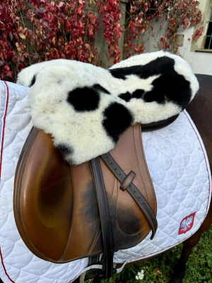 Sheepskins - Saddle Covers for Equestrian  - tempimagejoijez