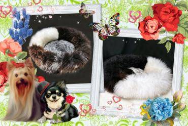 Sheepskins - Pet beds - make your little friend also be hugged with natural sheepskin!