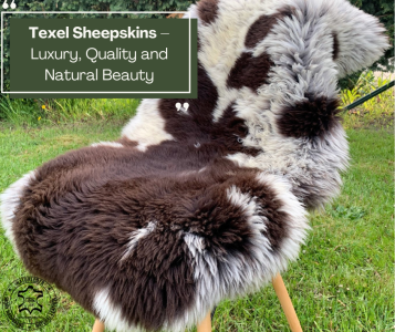 Sheepskins - Texel Sheepskins – Luxury, Quality and Natural Beauty