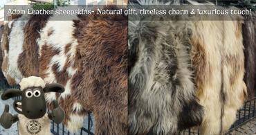 Sheepskins - Adam Leather decorative sheepskin - they are not only beautiful accents!