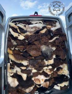 Sheepskins - Another successful business trip to the client