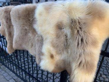 Sheepskins - Look at this!