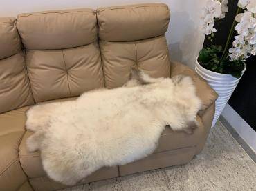 Sheepskins - Are you looking for a decoration for your living room? You will find it with us!