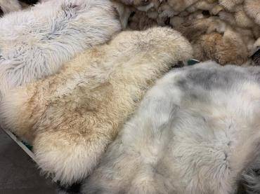 Sheepskins - More orders and packages are leaving our warehouses, they are on their way to reach you soon!