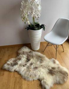 Sheepskins - Do you like our Meliert-COOKIES sheepskins? We are very