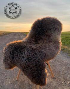 Sheepskins - Spring Session is behind us!