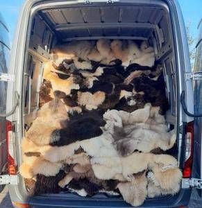 Sheepskins - Beautiful sunny day and we have another successful business trip to Berlin!