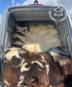 Sheepskins - Biological and Natural Polish Products!