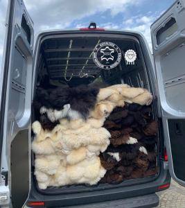 Sheepskins - Denmark- Copenhagen natural sheepskins and our company - a report from a successful business trip to the client