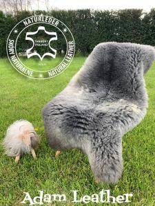 Sheepskins - The wonderfulness of Dutch and Texel sheepskins guarantee you comfort and warmth!