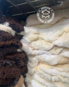 Sheepskins - Luxembourg ! Our sheepskins from Adam Leather 
