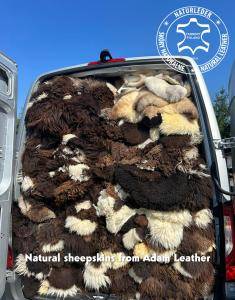 Sheepskins - Business trip to the Netherlands with our natural sheepskins!