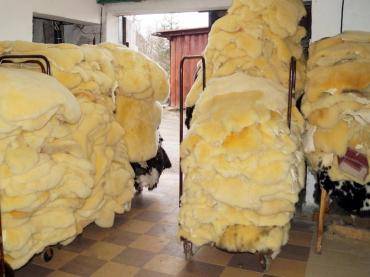 Sheepskins - Relugan sheepskin - NATURAL GIFT - often used for therapeutic purposes...