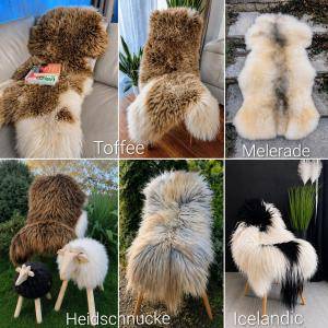 Sheepskins - Want your interior to stand out from the rest? Check it out here!