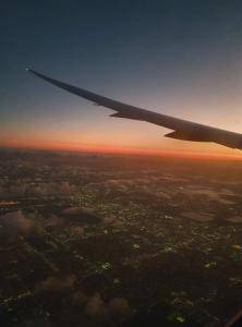 Sheepskins - Flying in the clouds to Miami