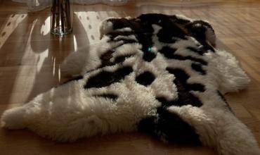 Sheepskins - Sheepskin Rug, Organic Rug, Decorative Rug, Oriental Rug, Small Rug - Versatile Sheepskin Rugs Selection