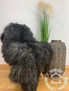 Sheepskins - Did you know that our leather is 100% organic?