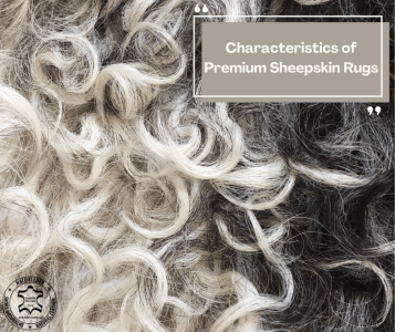 Sheepskins - Characteristics of Premium Sheepskin Rugs