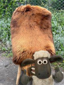 Sheepskins - HOT CHILI PEPPERS sheepskin collection from Adam Leather!