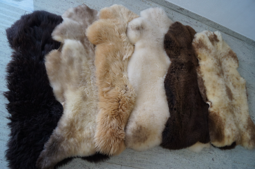 Sheepskins - Decorative sheepskins? Only from our Tannery!
