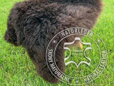 Sheepskins - Brown sheepskin - a decoration that exudes a sense of earth and reliability.