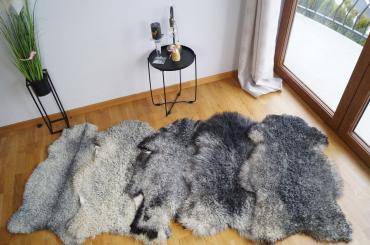 Sheepskins - A unique package of 50 Gotland sheepskins!