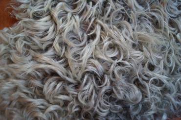 Sheepskins - Gotland sheepskin -  the ultimate luxury sheepskin