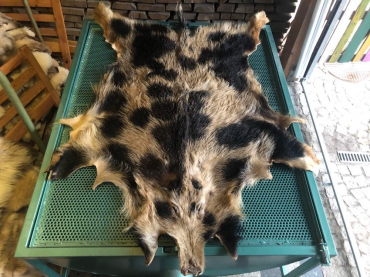 Sheepskins - Natural wild boar skins!
