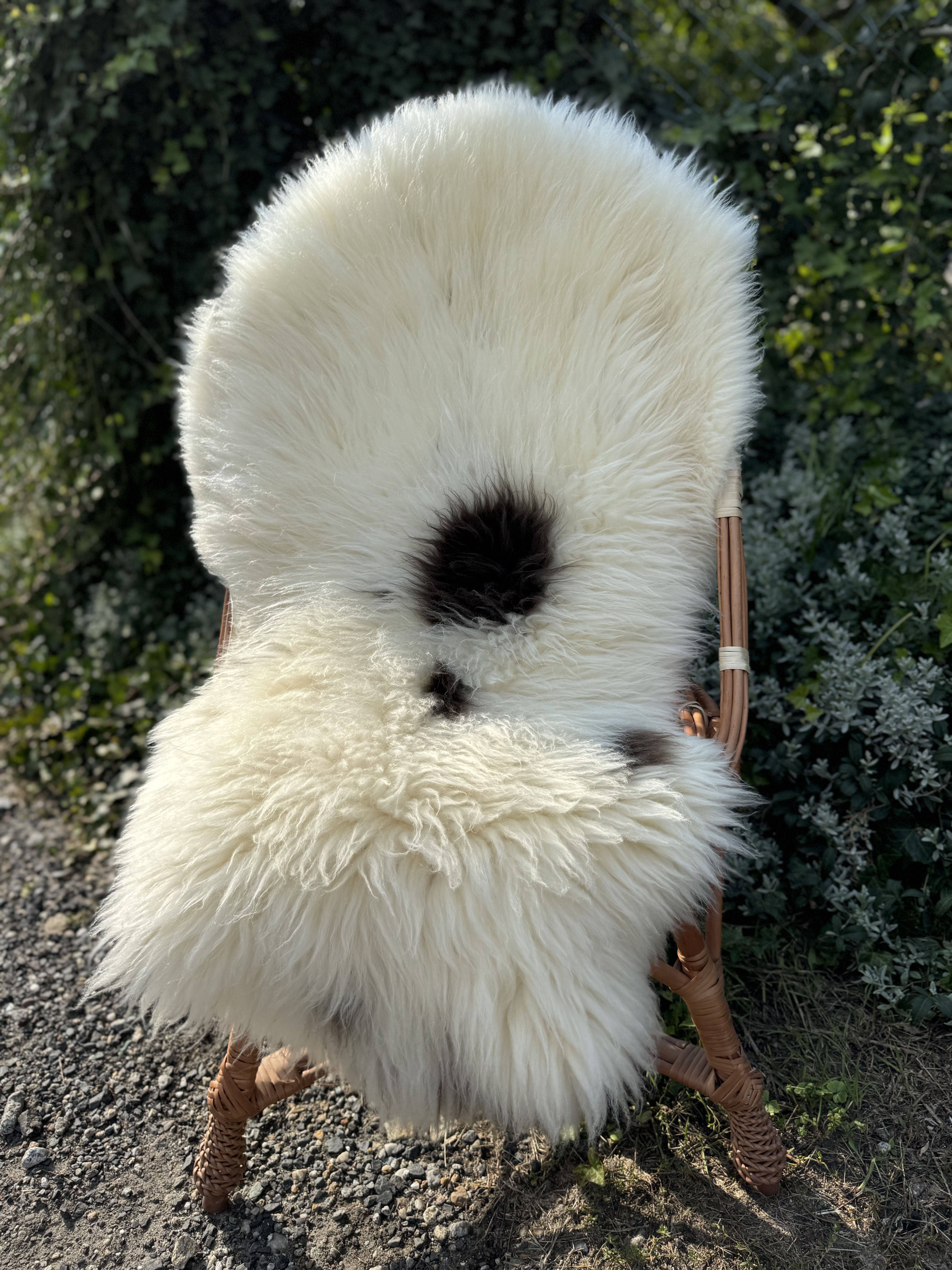 Sheepskins - May Sun and Sheepskin – Luxury Relaxation on Terrace and Balcony