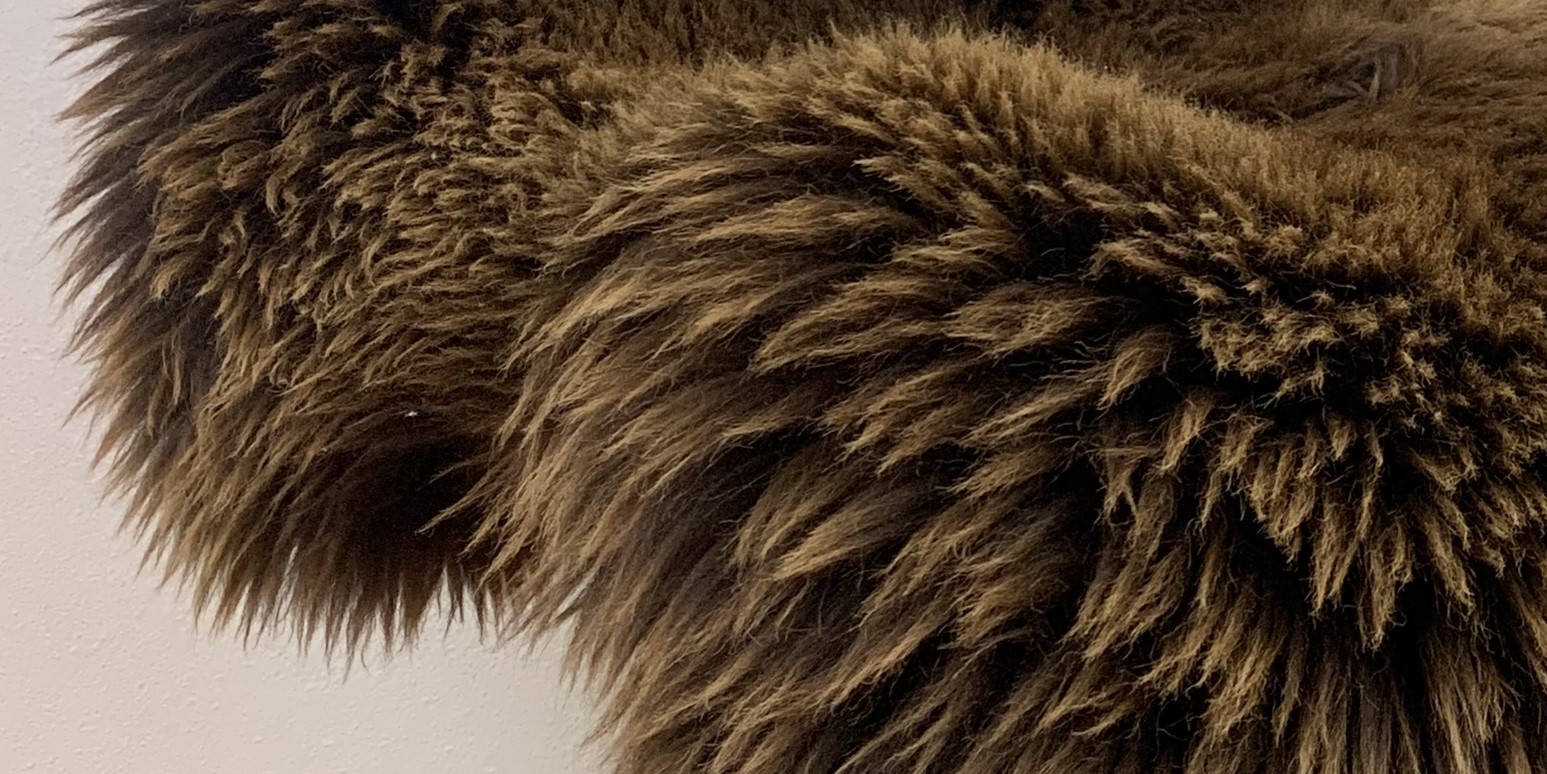 Sheepskins - Authentic Texel sheepskin!