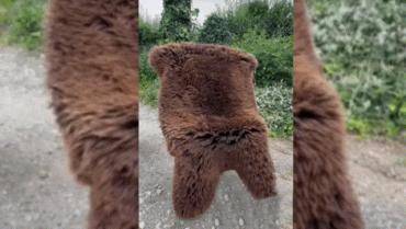 Sheepskins - Immerse yourself in the soft embrace of nature’s Holland sheepskin!