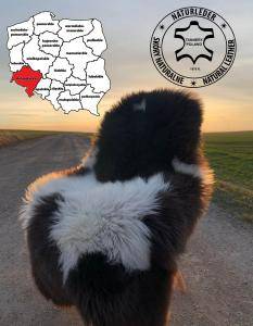 Sheepskins - Ecological and natural sheepskins - tannery, Lower Silesian Voivodeship - Poland