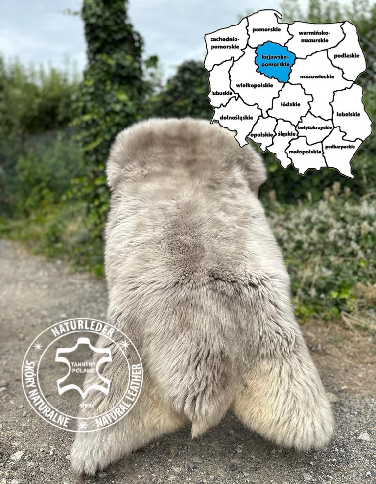 Sheepskins - Sheepskins from Bydgoszcz, Kuyavian-Pomeranian Voivodeship, Poland