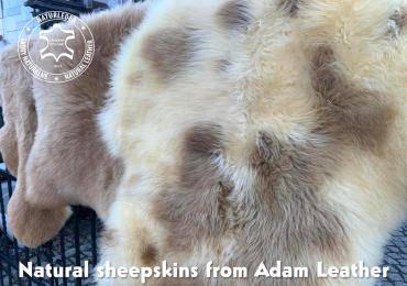 Sheepskins - Stracciatella sheepskin from Adam Leather