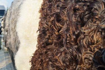 Sheepskins - Natural swedish sheepskins